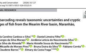Tecnologia Genética Revela Espécies Ocultas de Peixes na Bacia do Rio Mearim em Estudo do PPGBAS